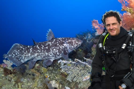 cœlacanthe Alexis Chappuis